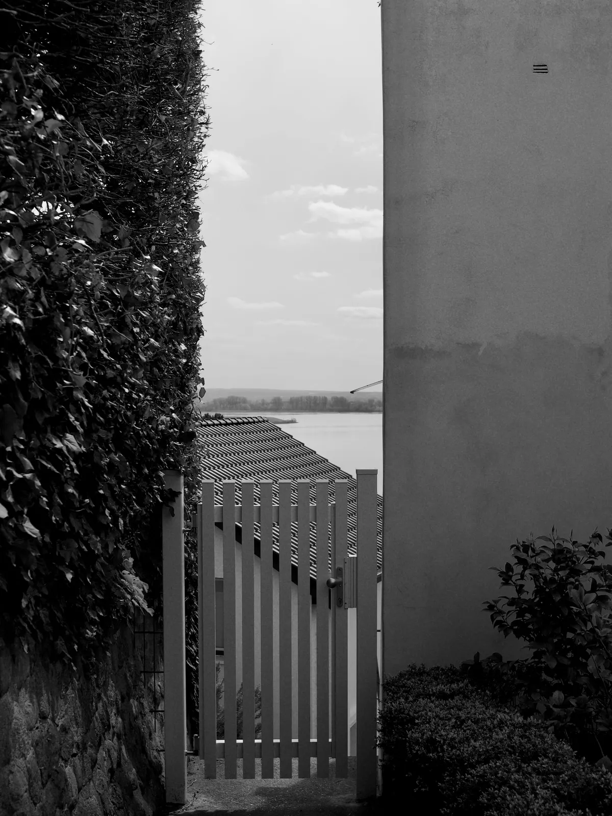 Spring '26 photo 27