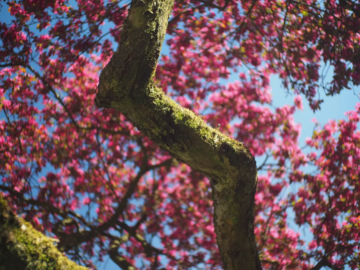 Spring '26 photo 57