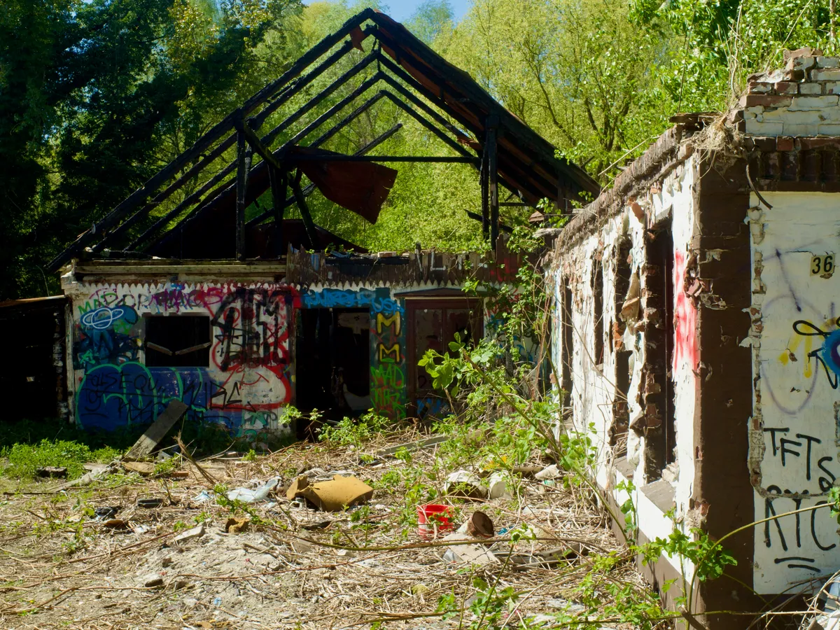 Spring '26 photo 63
