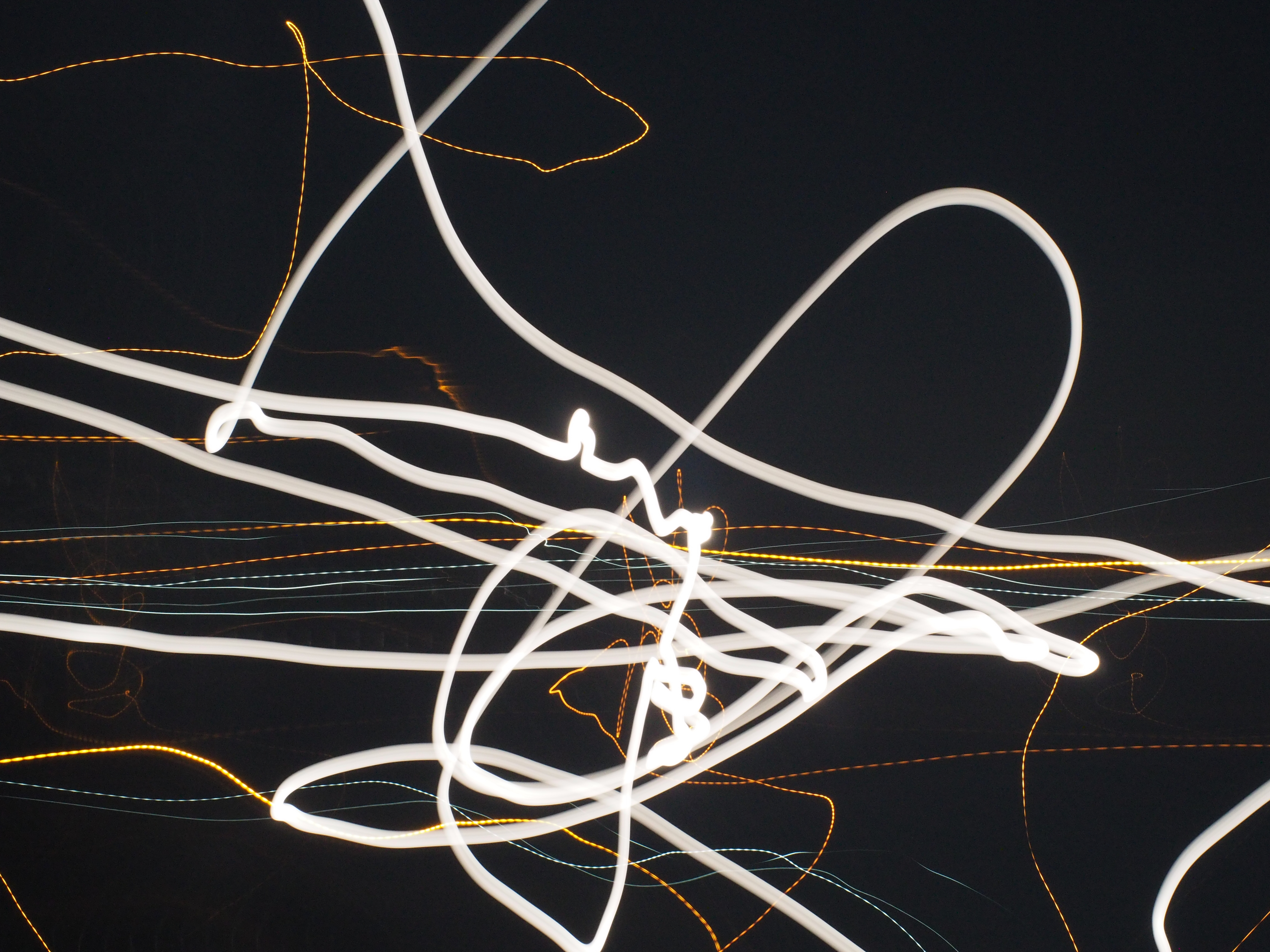Photo 80 of 117