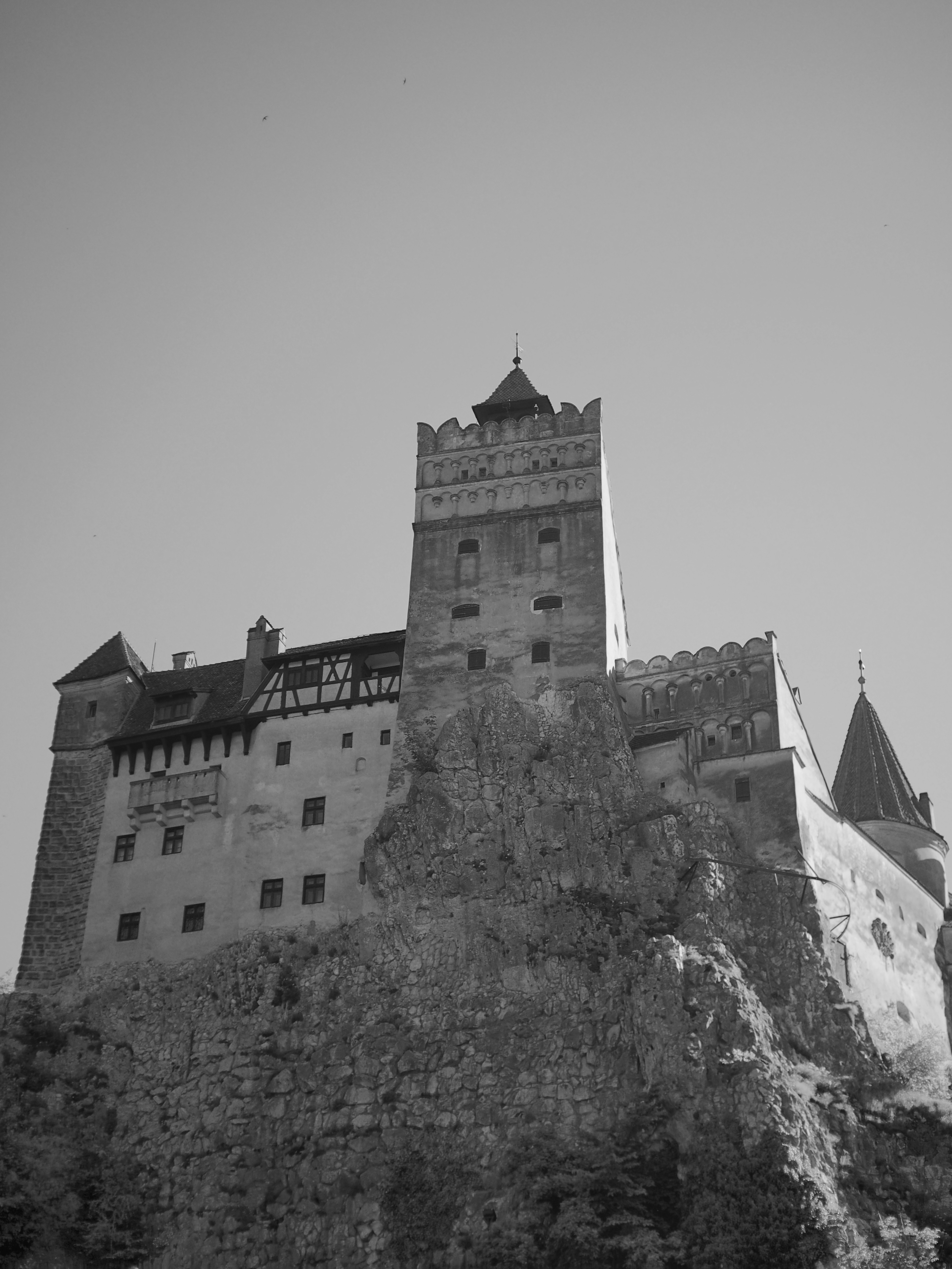 Photo 96 of 117