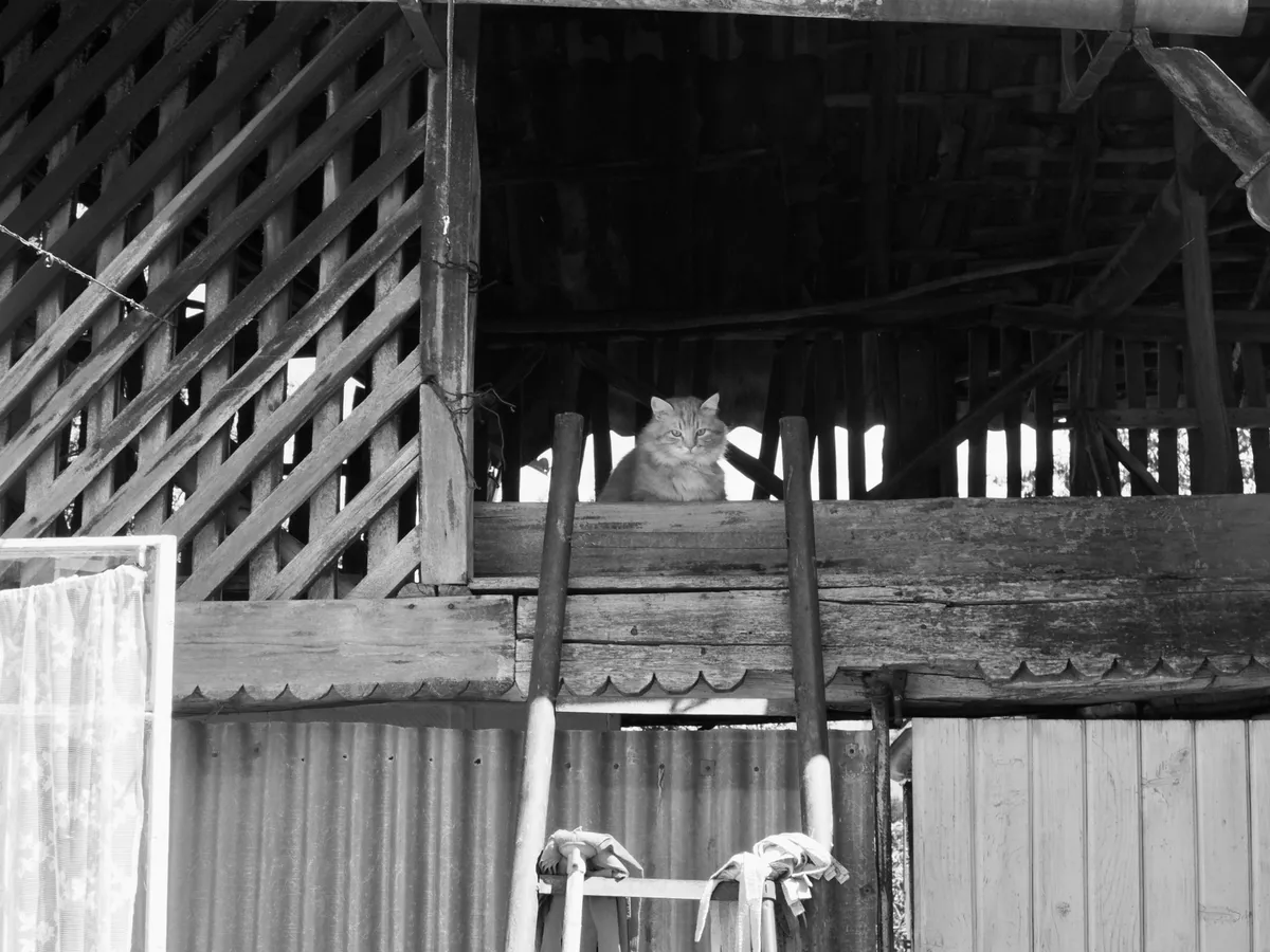 Spring '26 photo 110