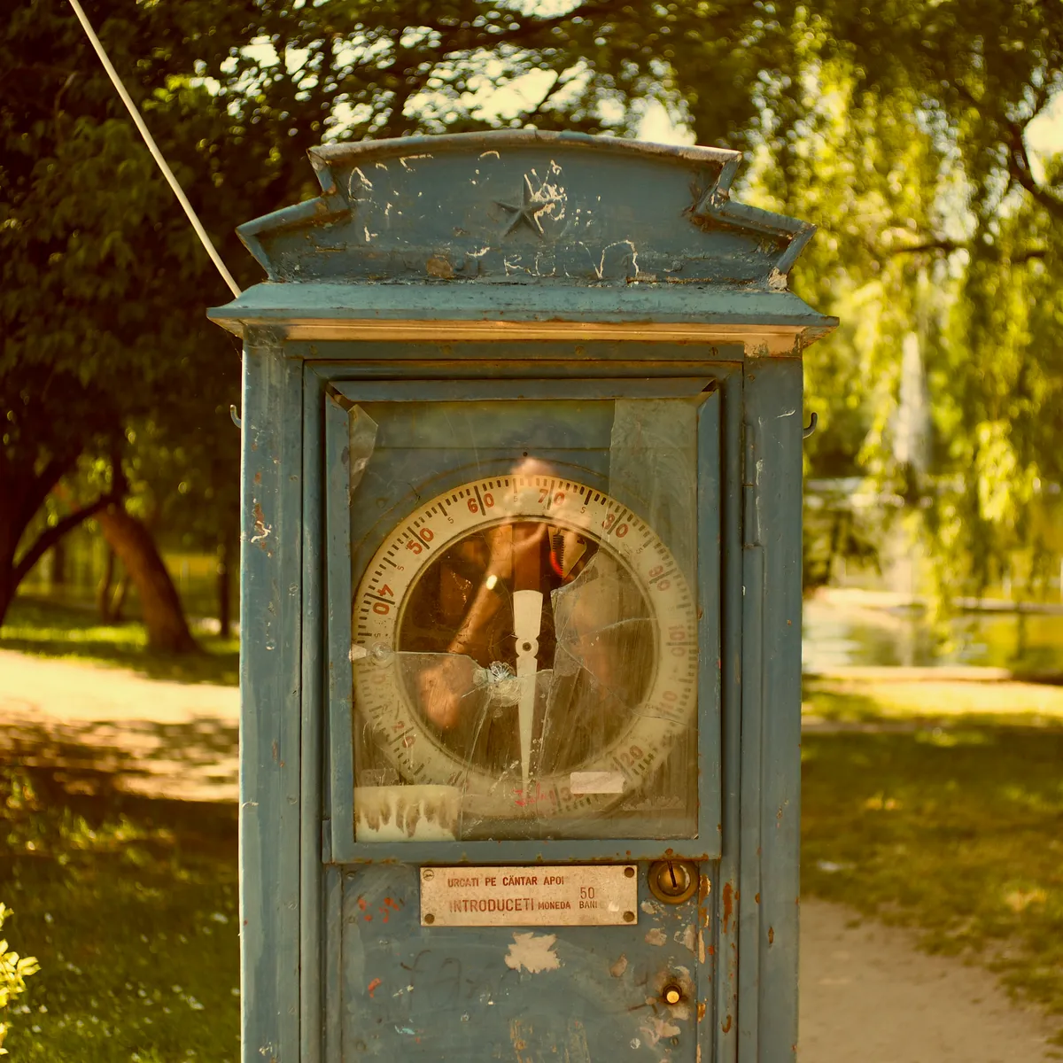 Spring '26 photo 111