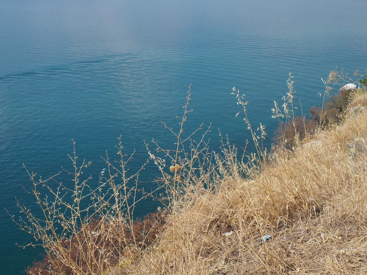 Autumn '26 photo 22
