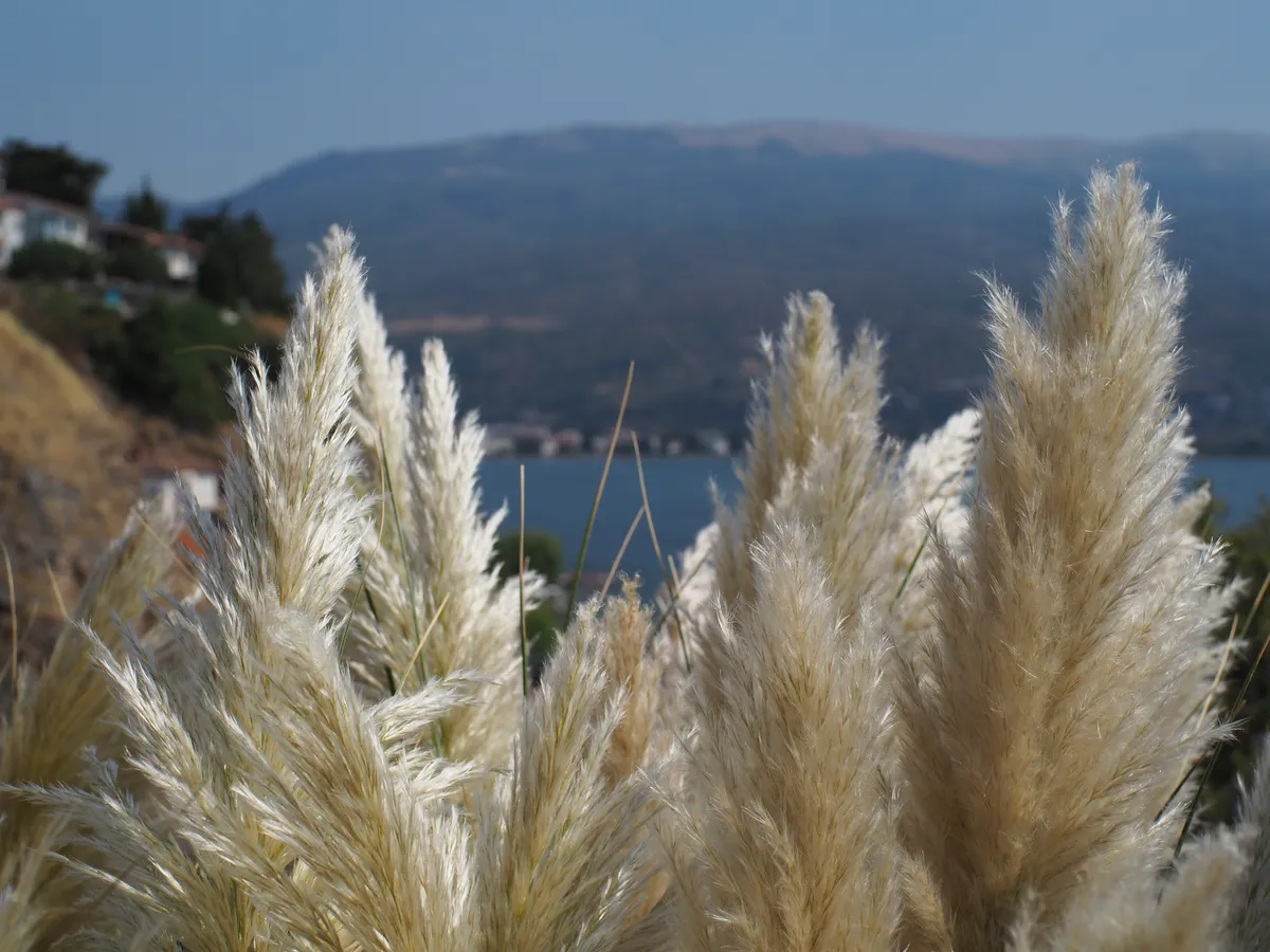 Autumn '26 photo 23